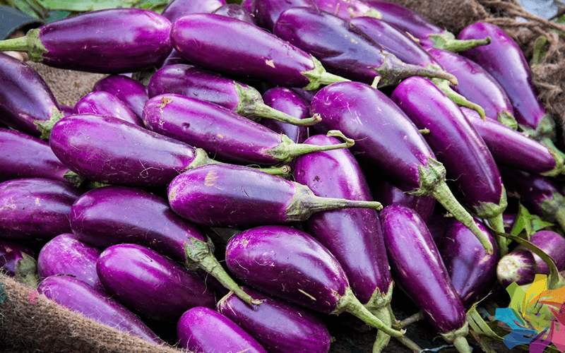 Brinjal (बैंगन)