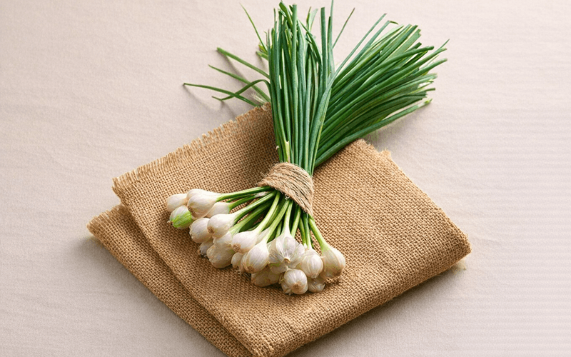 Green Garlic (हरा लहसुन)