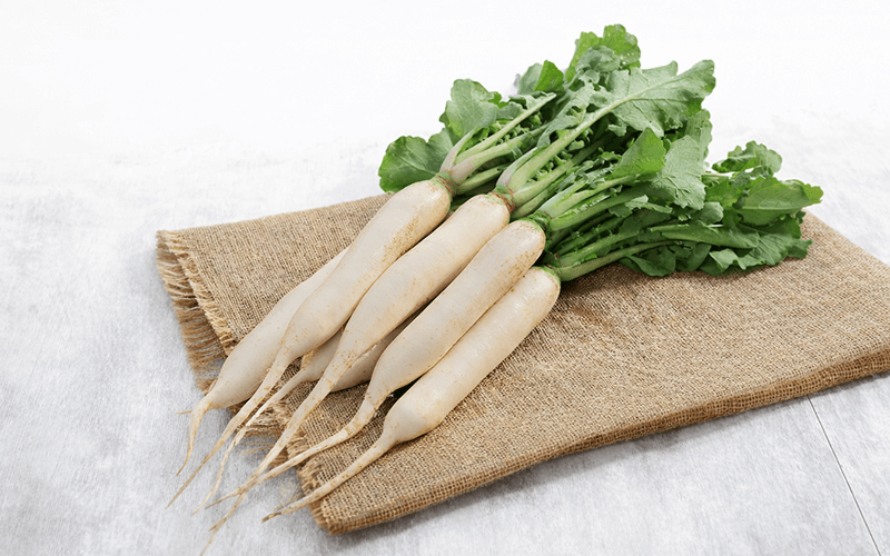 Radish (मूली)