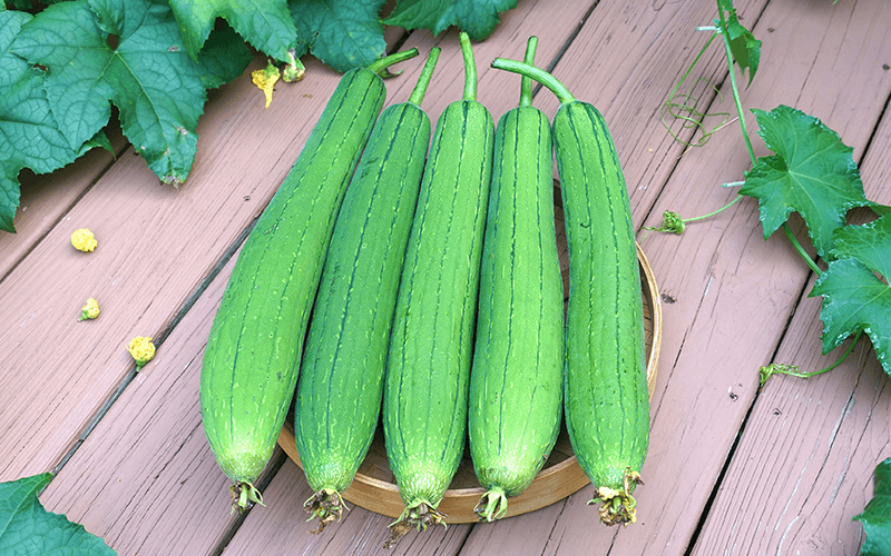 Sponge Gourd (तोरी)