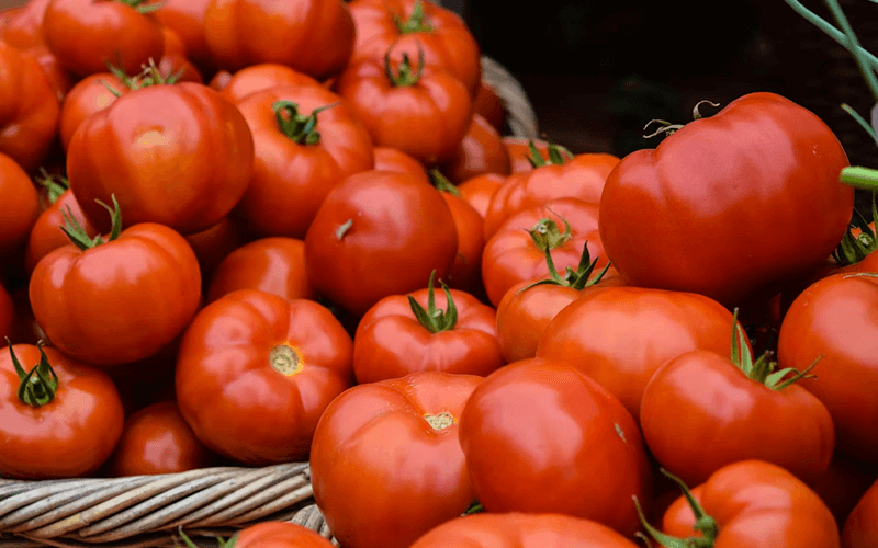 Tomato (टमाटर)